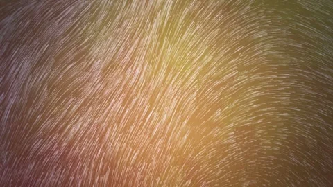 Brown Animation Lines Particle Background, Loop Video Stock Footage 293725679