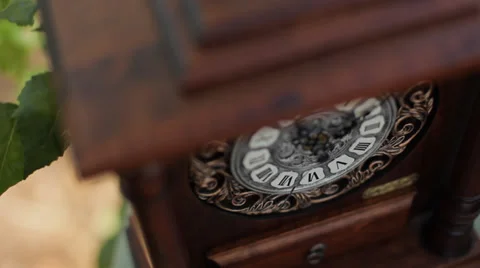 Brown antique clock on the table forest 02 Stock Footage 36517911