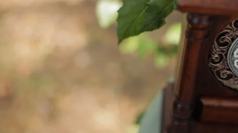 Brown antique clock on the table forest 04 Stock Footage 36517915