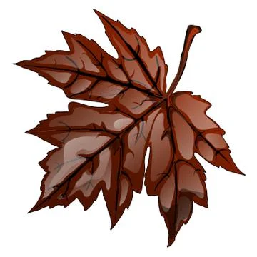 Brown autumn maple leaf isolated on white background. Vector cartoon close-up Stock Illustration
