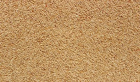 A brown background with amaranth Stock Photos