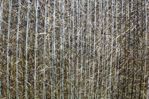 Brown background with old straw Stock Photos