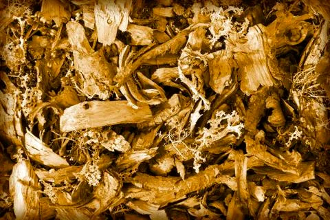 Brown background Stock Photos