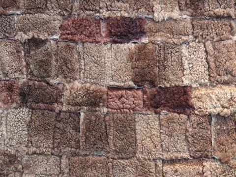 Brown background of rectangles of various sizes and shades, fur texture. Stock Photos