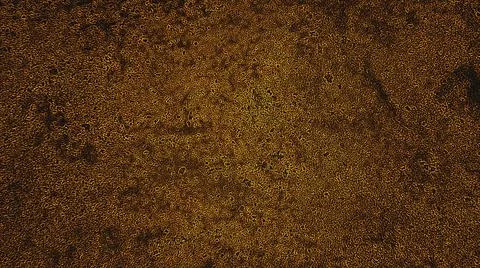 Brown background in the shadows Suitable for designing or designing book cove Stock Illustration