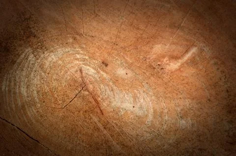 Brown background texture pattern for design wood Stock Photos