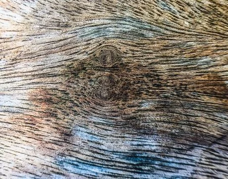 Brown bark pattern texture background Foto stock