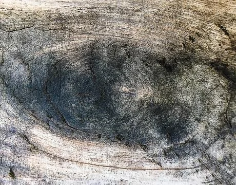 Brown bark pattern texture background Stock Photos