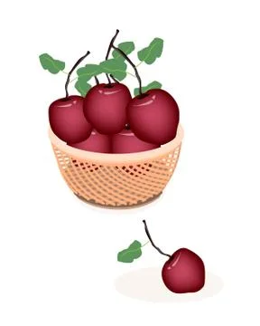 A Brown Basket of Fresh Stack of Apple Stock Illustration