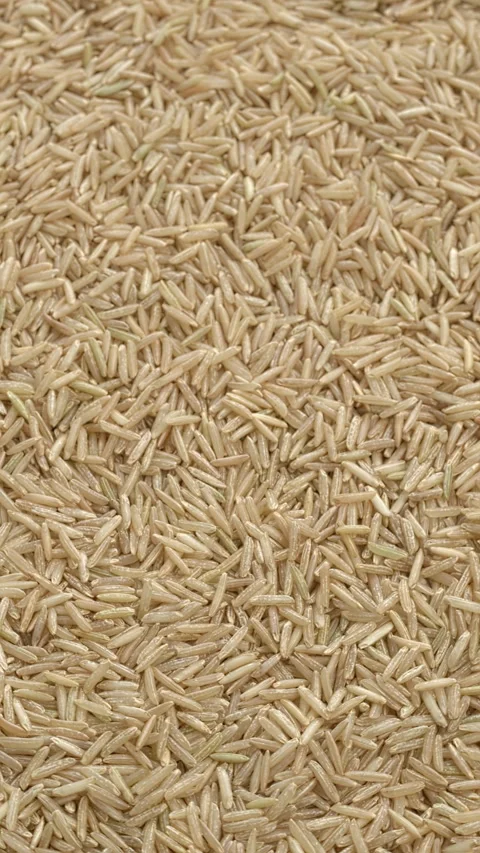 Brown basmati rice background texture. Selective focus. Vertical video. Stock Footage 308283250