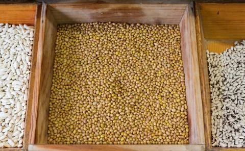 Brown beans Foto stock