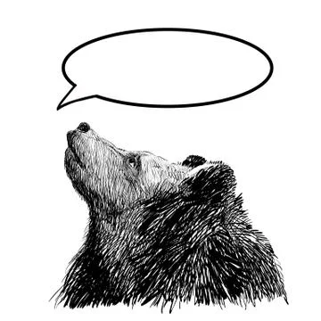 Brown bear. Bear head. Wild bear. Brown bear head. Stock Illustration