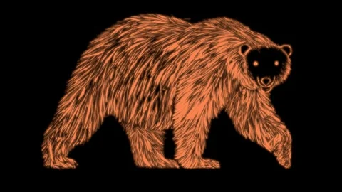Brown bear black background animation Stock Footage 218585425