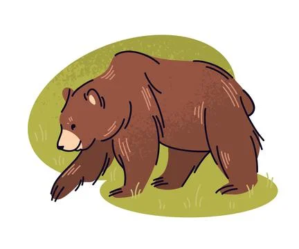 Brown bear flat vector illustration. Big wild animal, taiga inhabitant isol.. Stock Illustration