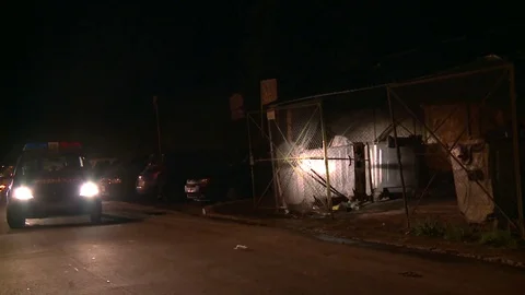 Brown bear at garbage Stock Footage 78825217