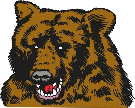 Brown Bear Head Portrait, Wild Animal, Fierce Expression, Nature Wildlife Stock Illustration