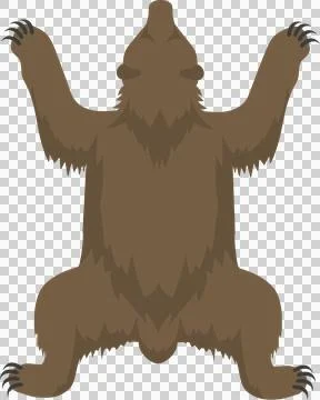 Brown bear hide rug flat design is lying on transparent canvas, showing claws Stock Illustration