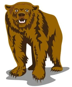 Brown bear. Stock-Illustration