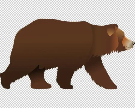 Brown bear Stock Illustration