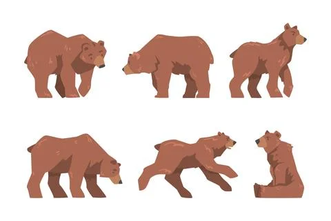 Brown Bear as Large Wild Terrestrial Carnivore Mammal with Thick Fur Vector Set Stock Illustration