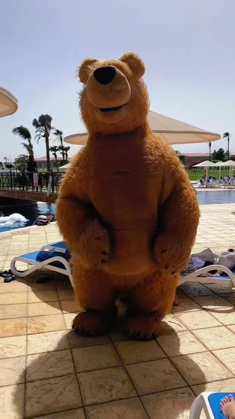 Brown bear by the pool on a sunny day. Stock Footage 311079408