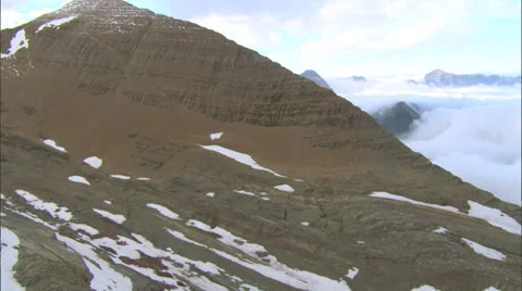 Brown Bear Scales Mountainside Stock Footage 37431357