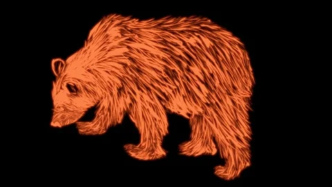 Brown bear walking black background 2d animation video Stock Footage 172461729