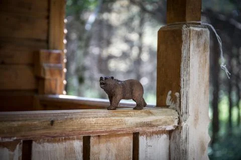 Brown bear walking in forest. Mini bear figure (or toy bear) at the park. Photos