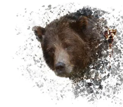 Brown Bear Watercolor Stock Illustration