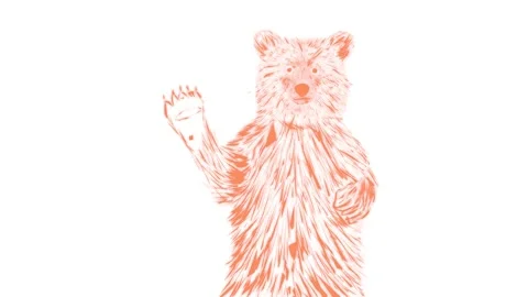 Brown bear white background animation Stock Footage 175224455