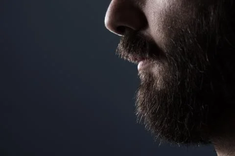 Brown Beard Stock Photos