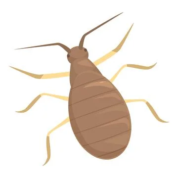 Brown bed bug crawling with long antennae Stock Illustration