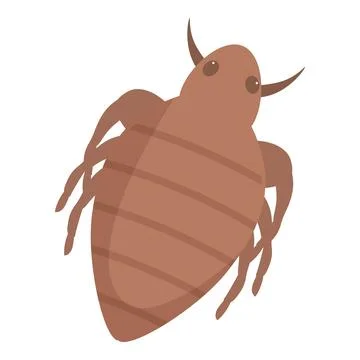 Brown bedbug crawling on white background Stock Illustration
