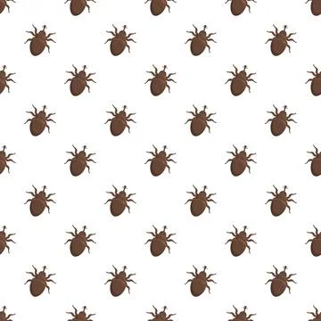 Brown beetle bug pest insect seamless pattern Illustrazione stock