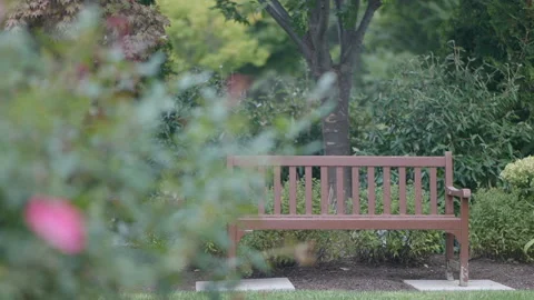 Brown bench in background of plants Stock Footage 170373845