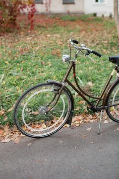 Brown bicycle parked on a path surrounded by green grass and fallen leaves .. Stock Photos