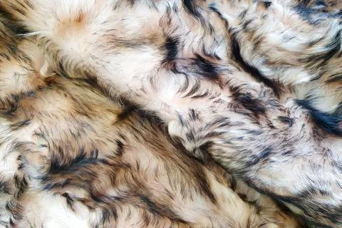 Brown black wool texture background. Top view of natural fur, texture Stock Photos
