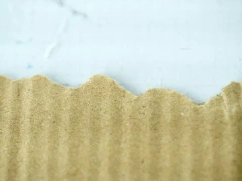 Brown blank torn edge paper on white background. Stock Photos