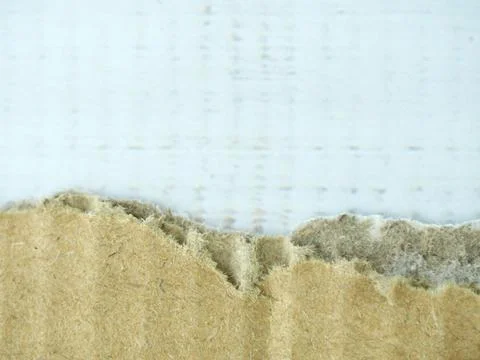 Brown blank torn edge paper on white background. Stock Photos