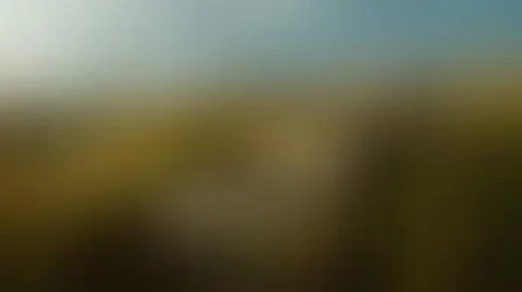 Brown, blue blurred background vector Stock Illustration