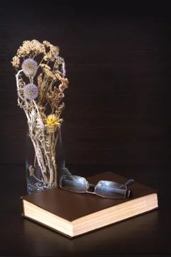 Brown book with glasses on it Stock Photos