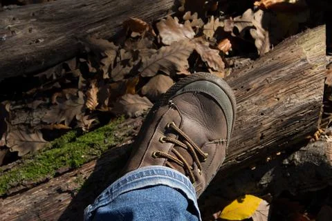 Brown boot on timber Stock Photos