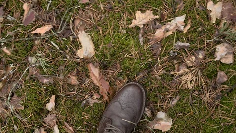 Brown boots in forest, POV Stock Footage 106221864