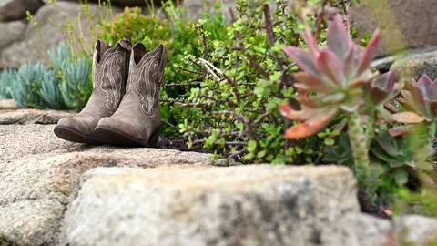 Brown Boots On A Rock 動画素材 154322421