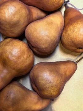 Brown Bosc Pears Arranged in Fresh Produce Display 写真素材