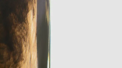 Brown Bottle Ink Stock Footage 990323