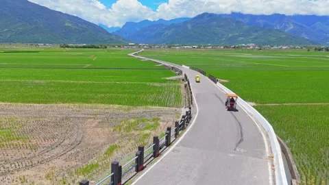 Brown Boulevard Chishang Rice Fields Aerial Video stock 331528619