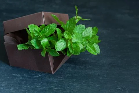 Brown box with mint on a black background Stock Photos