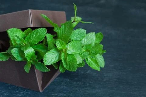 Brown box with mint on a black background Stock Photos
