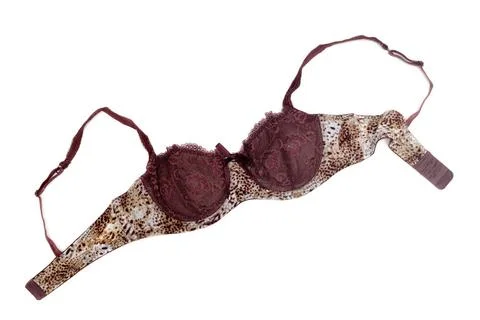 Brown bra with leopard pattern. Brown bra with leopard pattern. Isolate on... Foto stock